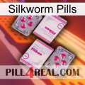 Silkworm Pills 33